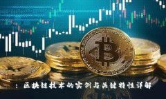 : 区块链技术的实例与关键特性详解
