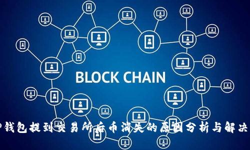 从TP钱包提到交易所后币消失的原因分析与解决方案