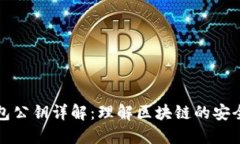 TP钱包公钥详解：理解区块链的安全核心