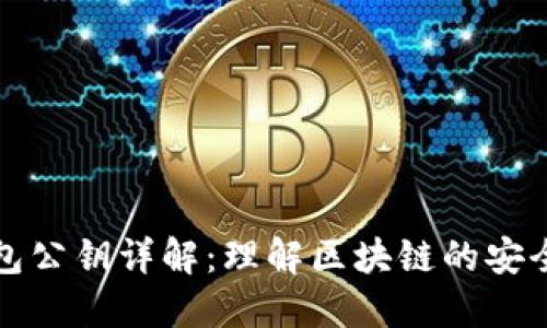 TP钱包公钥详解：理解区块链的安全核心