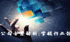 中国区块链平台公司全景解析：掌握行业领军者