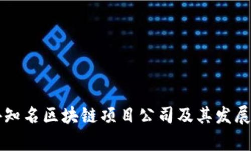 国外知名区块链项目公司及其发展分析