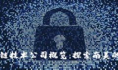 智利区块链技术公司概览：探索南美的数字创新